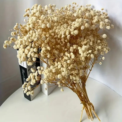 baby's breath flower
