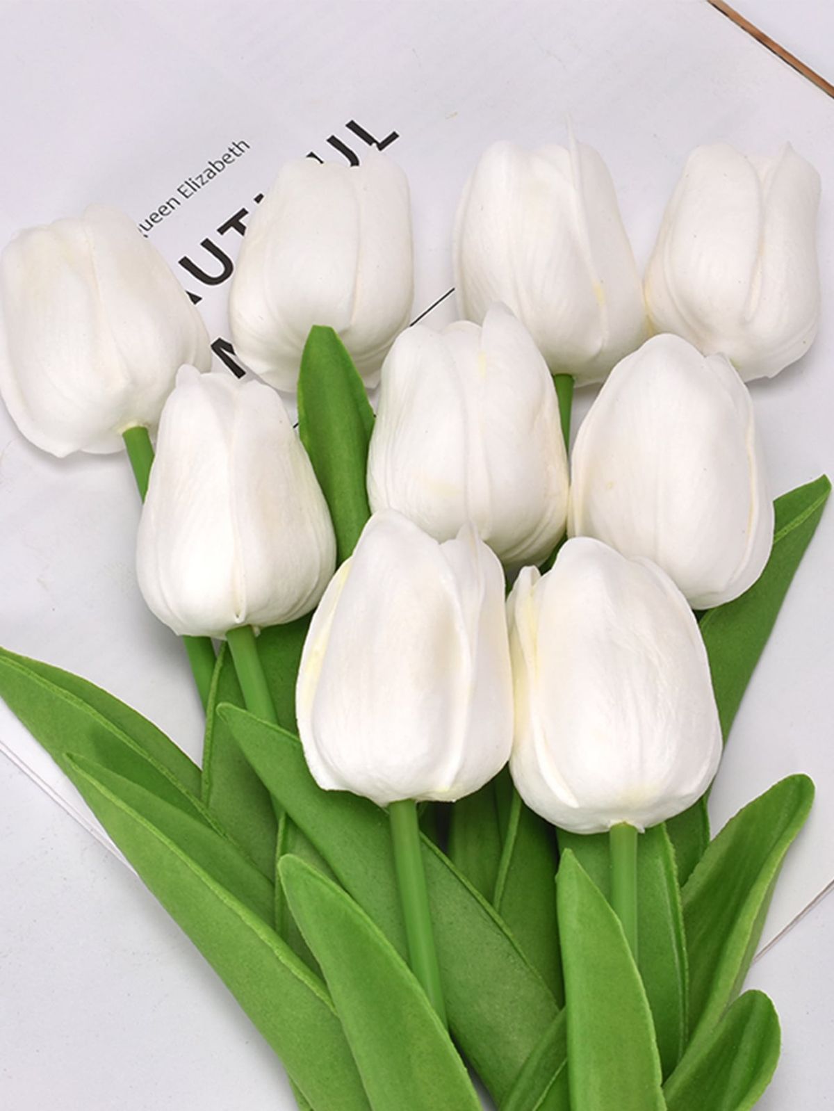 Tulip Flowers