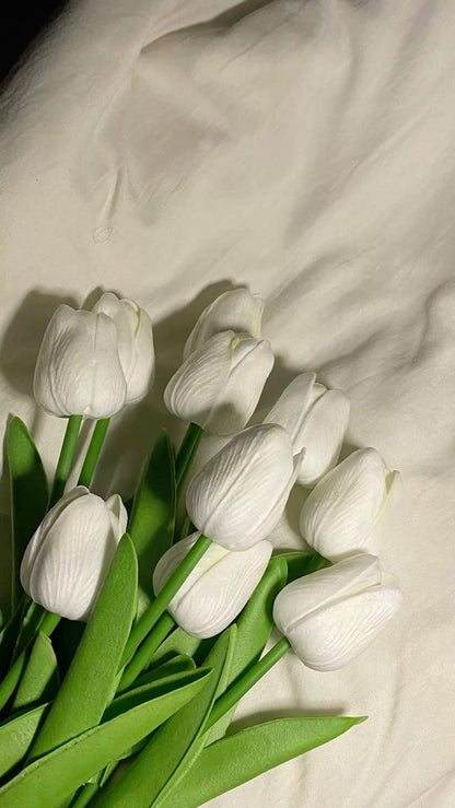 Tulip Flowers