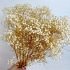 baby's breath flower