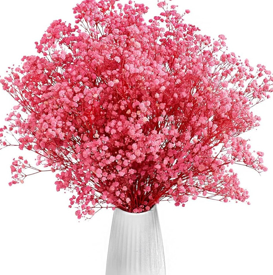 baby's breath flower