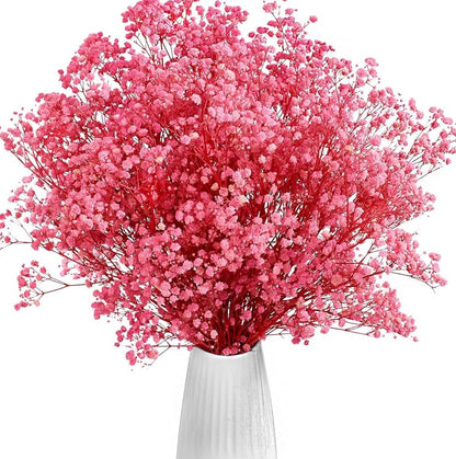 baby's breath flower