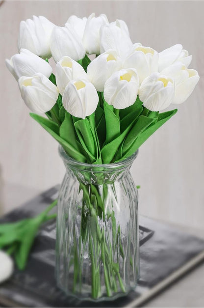 Tulip Flowers