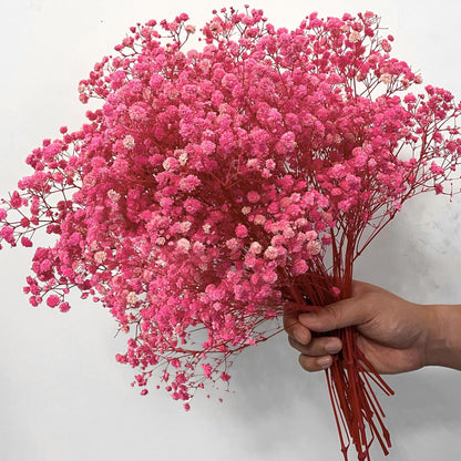 baby's breath flower
