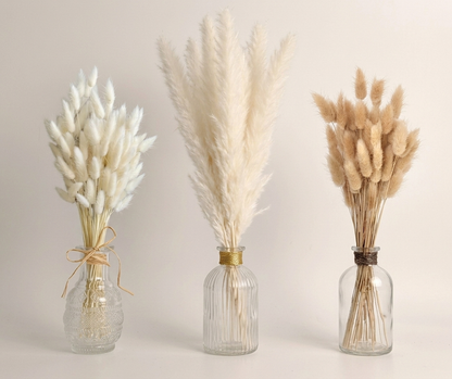 Bundle Dried Flowers (70pcs)