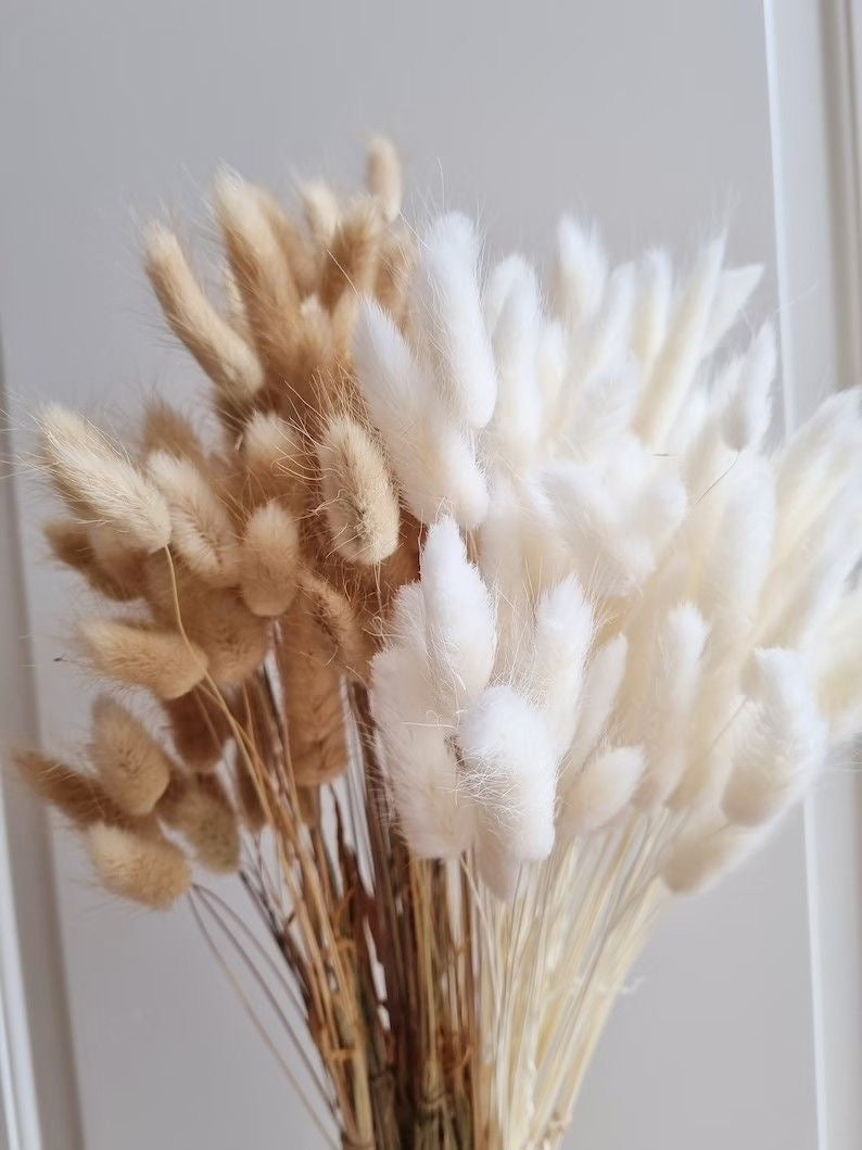 Bundle Dried Flowers (70pcs)