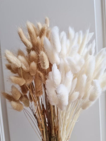 Bundle Dried Flowers (70pcs)