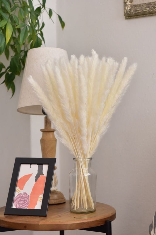 American Pampas Grass