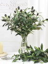 Silcon Olive