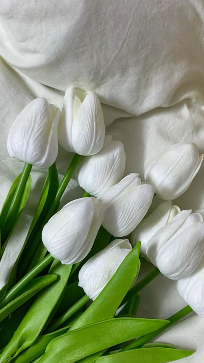 Tulip Flowers
